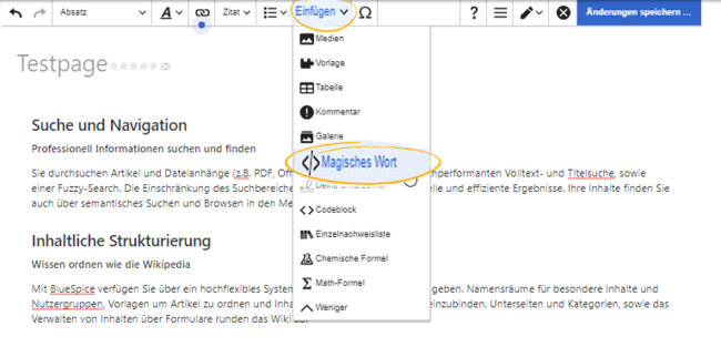 Menüpunkt Magisches Workt im visuellen Editor